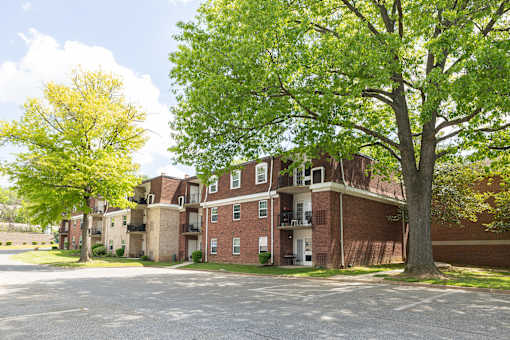 A tree with green leaves stands in front of a brick building at The Brittany Apartments, Pikesville