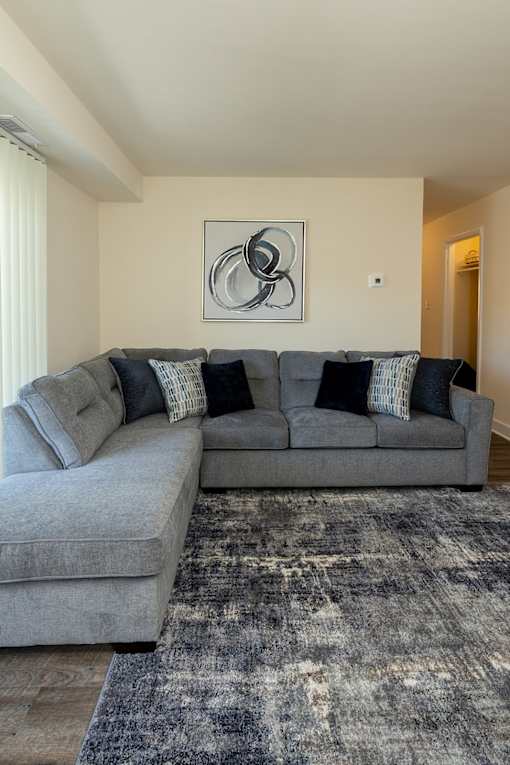 A living room with a couch and area rug