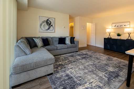 A living room with a couch and area rug