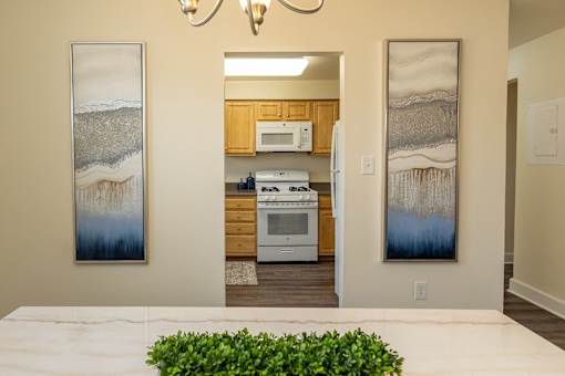 A kitchen with a white counter top and a plant in front of it.