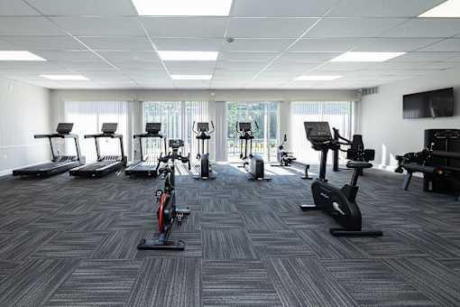 A gym with treadmills, stationary bikes, and elliptical machines.