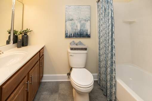 Bathroom with counter , toilet, and tub-shower