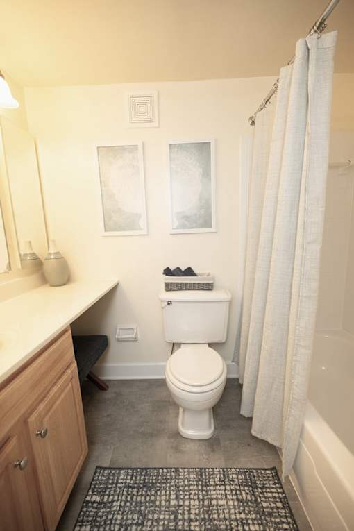 A bathroom with a toilet, sink, and shower.