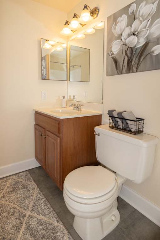 Bathroom with toilet and cabinets under the sink