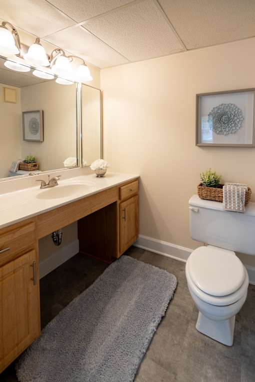 A bathroom with a white toilet, a sink with a mirror above it, and a rug on the floor.