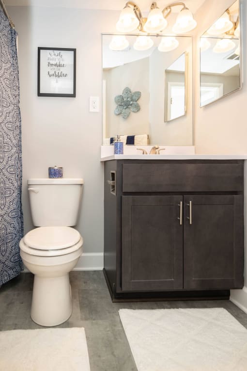 a bathroom with a white toilet next to a sink with a mirror above it at Fairbrook Park, Baltimore Maryland