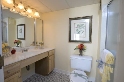 Bathroom with a large mirror and a toilet next to a sink at Ivy Hall Apartments*, Towson, 21204