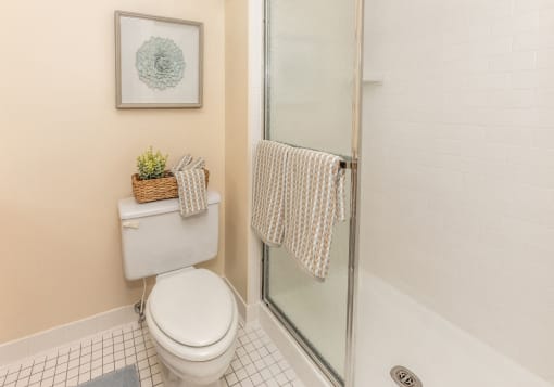 Master on suite bathroom with stand up shower at Ivy Hall Apartments*, Towson, MD