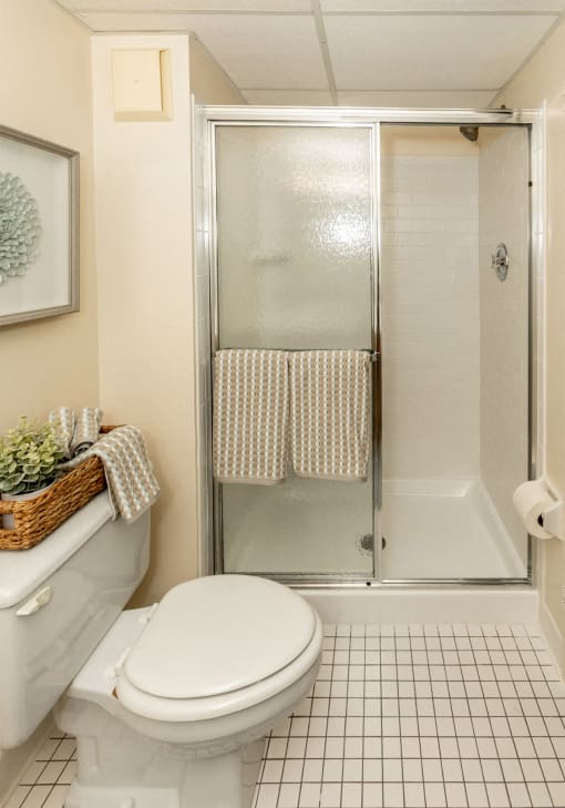 Master en suite bathroom with stand up shower at Ivy Hall Apartments*, Towson, MD