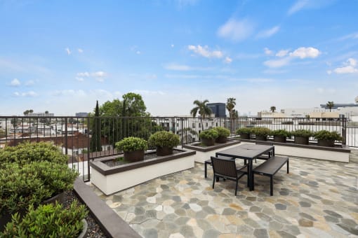 Views from the Rooftop Terrace