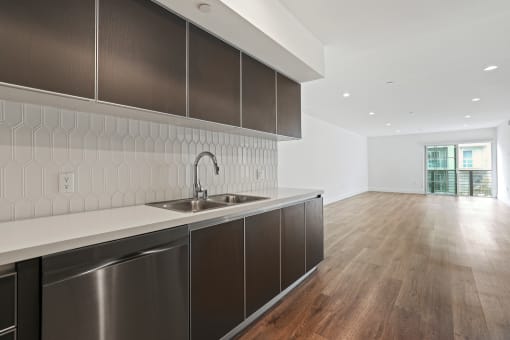 Kitchen withStainless Steel Dishwasher and Double-Sink