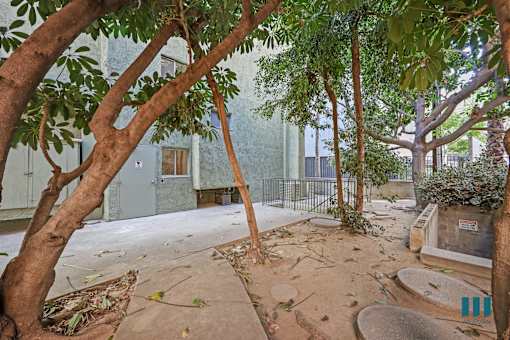 A tree-filled courtyard with a concrete floor and a small fountain.