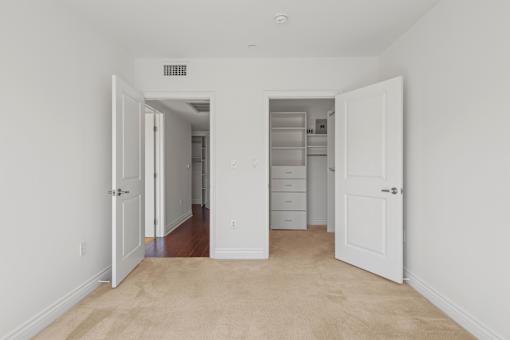 Master Bedroom with Walk-In Closet