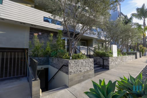 Entrance of Dorothy Village by Wiseman