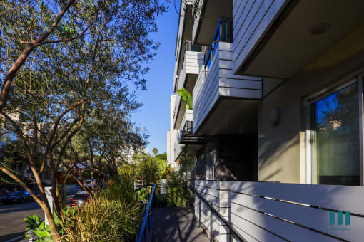 Walkway to the Front Entrance of Dorothy Village by Wiseman