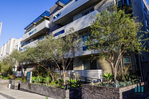 Dorothy Village by Wiseman
