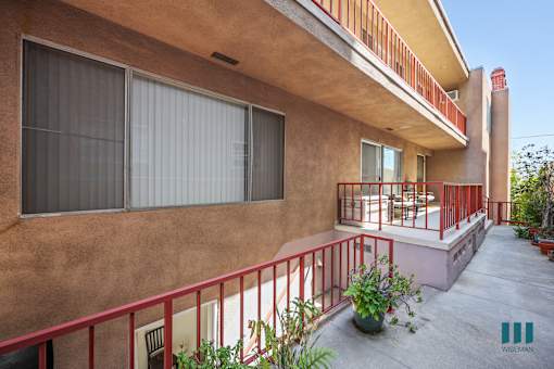 Back Exterior of Dorothy Blaze
