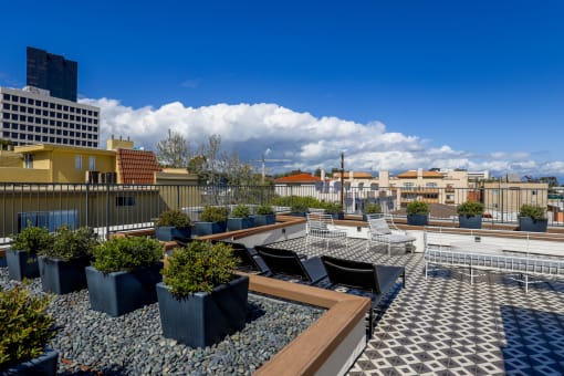Rooftop Terrace of Barry Diamond by Wiseman