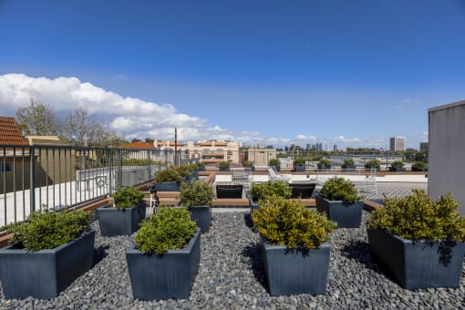 Rooftop Deck Views