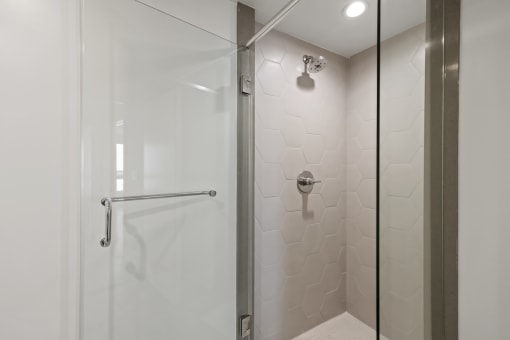 Walk-In Shower with Glass Shower Door