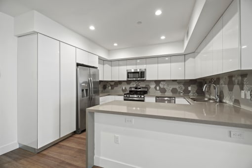 Large-Size Kitchen with Ample Cabinet and Storage and Counter Space