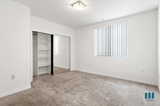 Bedroom with Closet with Shelving, Carpet, and Window