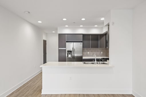Front Entrance and Kitchen with Refrigerator