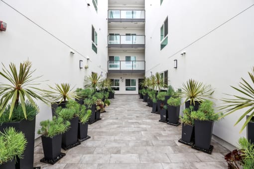 Interior Courtyard of Colby at Ohio by Wiseman