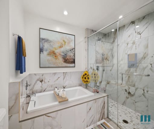 Bathroom with Large-Size Walk-In Shower and Bathtub