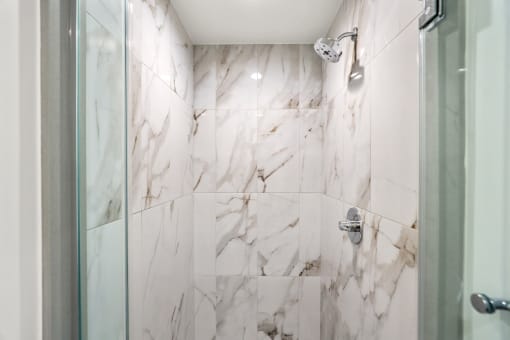 Large-Size Walk-In Shower