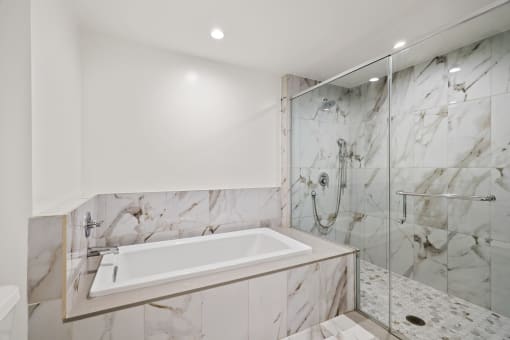 Bathroom with Bathtub and Large Walk-In Shower