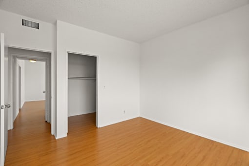 Bedroom with Walk-In Closet and Vinyl Flooring
