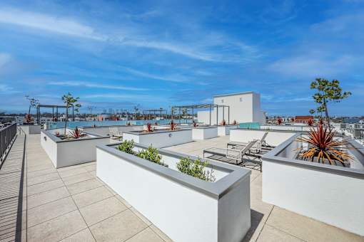 A rooftop patio with white planters and a clear blue sky.