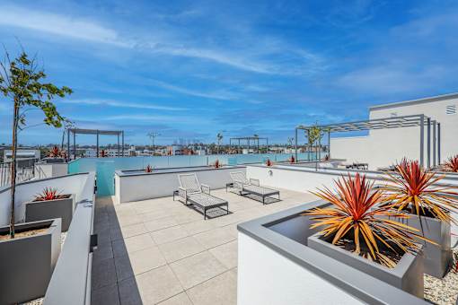 A rooftop patio with a pool, lounge chairs, and plants.