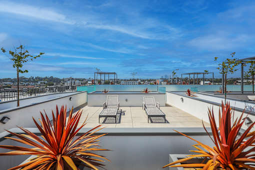A rooftop pool surrounded by chairs and plants.