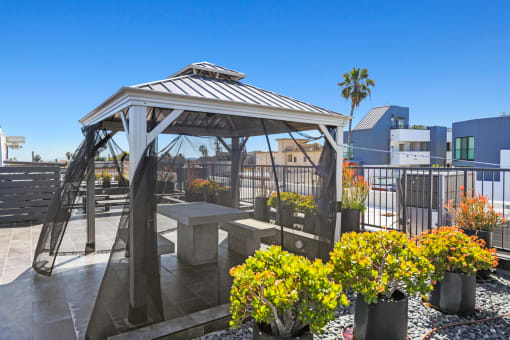 Pergola on the Rooftop Deck