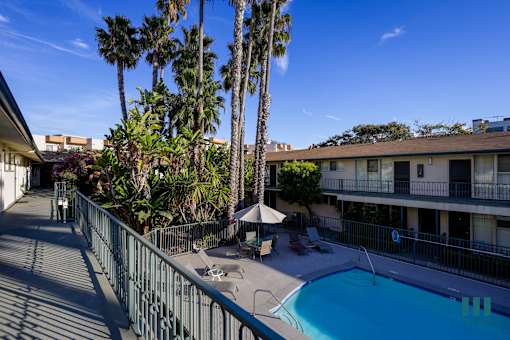 A pool surrounded by a fence and palm trees.