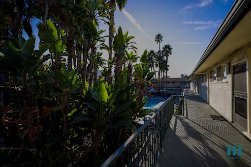 A balcony with a pool and palm trees.
