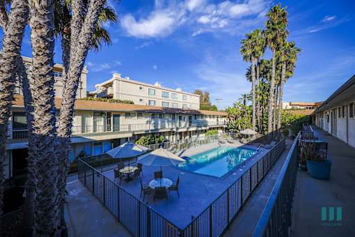 A pool surrounded by palm trees and a fence.