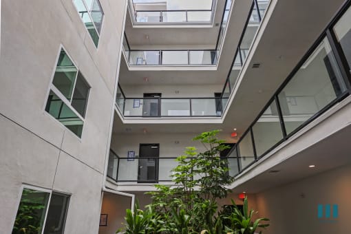 Interior Courtyard