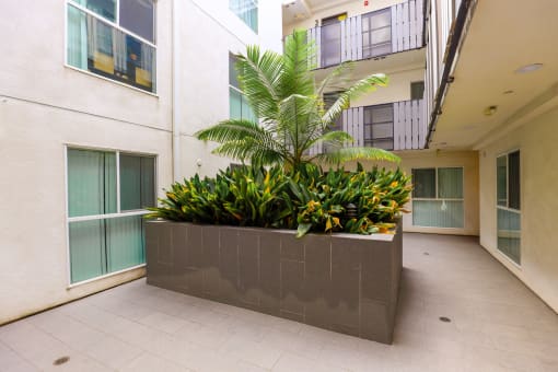 Courtyard of Residential Apartment Community in West LA