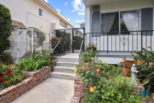 Front Steps of Kiowa Olive