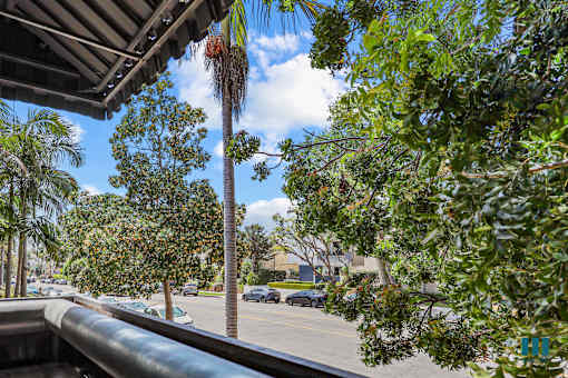 Patio Views