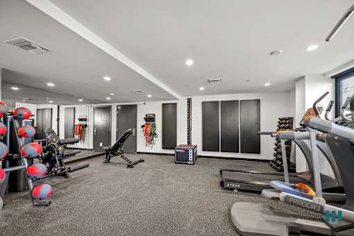 Well-Equipped Fitness Center with Assortment of Medicine Balls, Free Weights, Treadmills, and Exercise Equipment