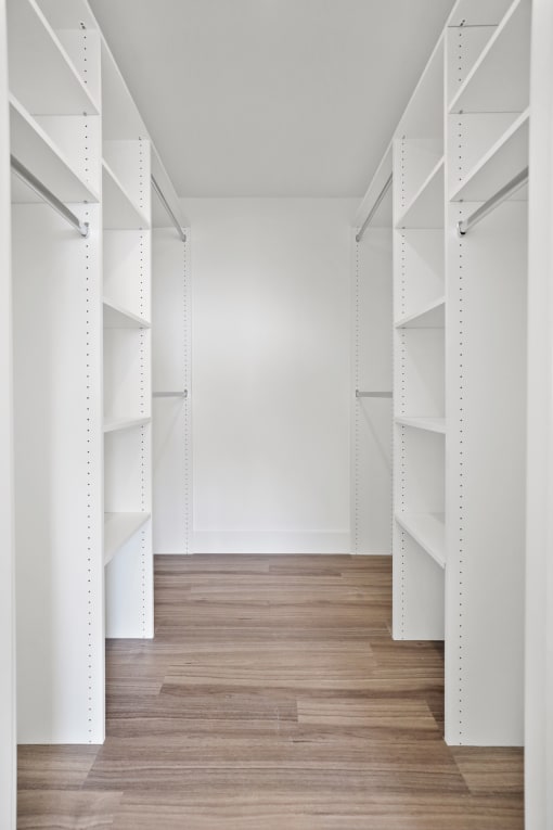 Walk-In Closet with Shelving