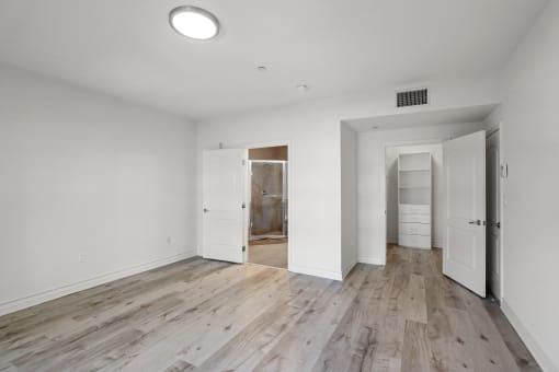 Large Bedroom with a Walk-In Closet and Vinyl Flooring