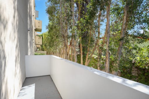 Large-Size Patio