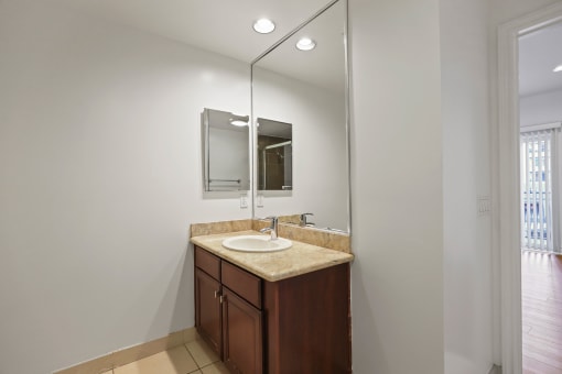 Hall Bathroom with Vanity