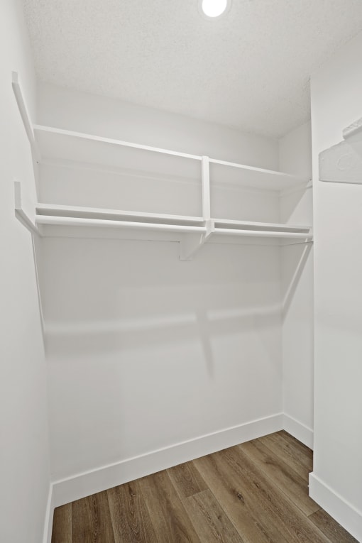 Apartment with Large Closet