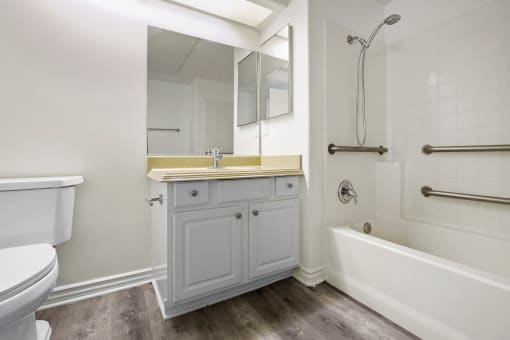 Large Handicap Accessible Bathroom with Full-Size Bathtub